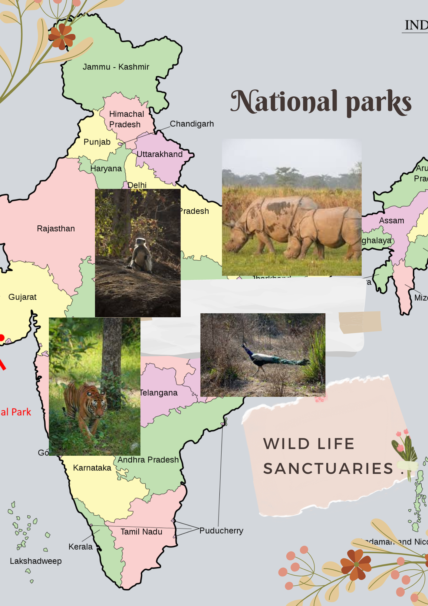 National Parks and Wildlife Sanctuaries in India