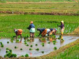 Schemes for Farmers in India